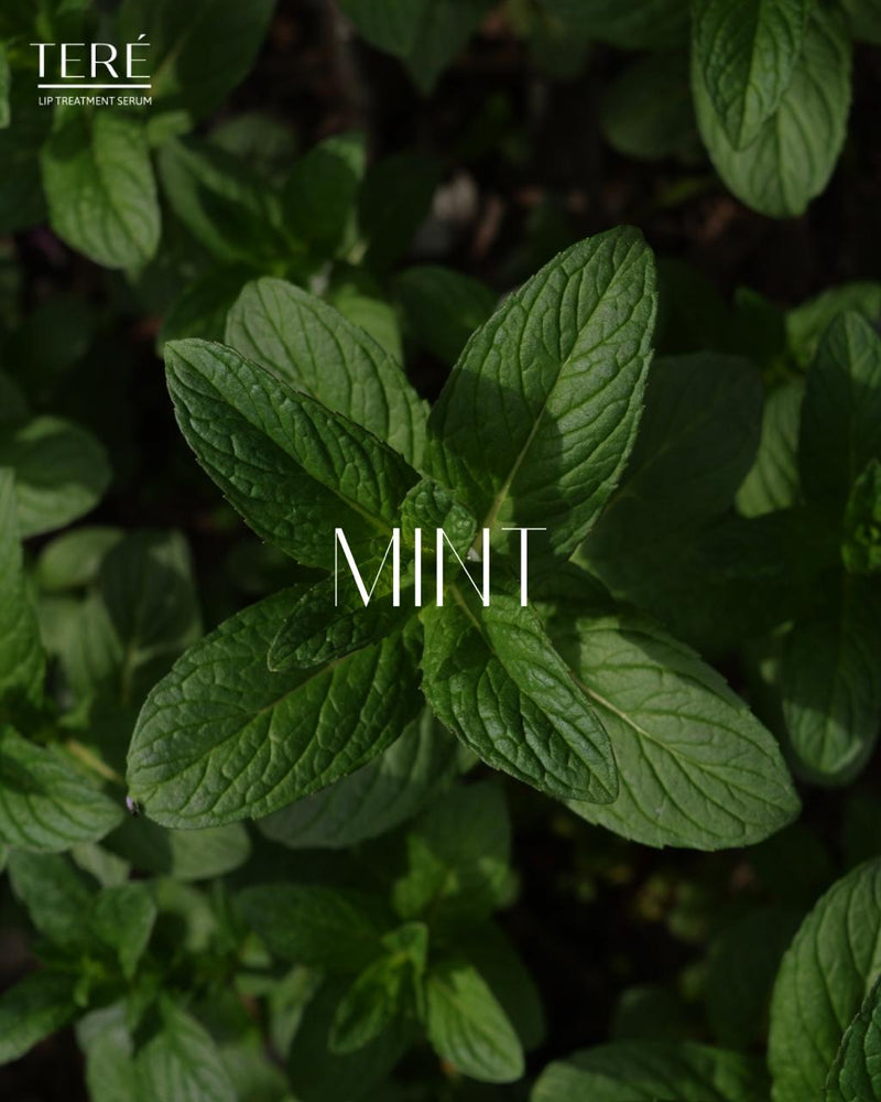 Munt