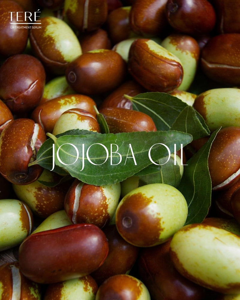Jojobaolie